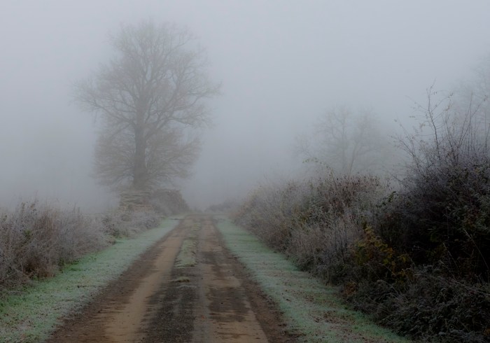 Freezing fog