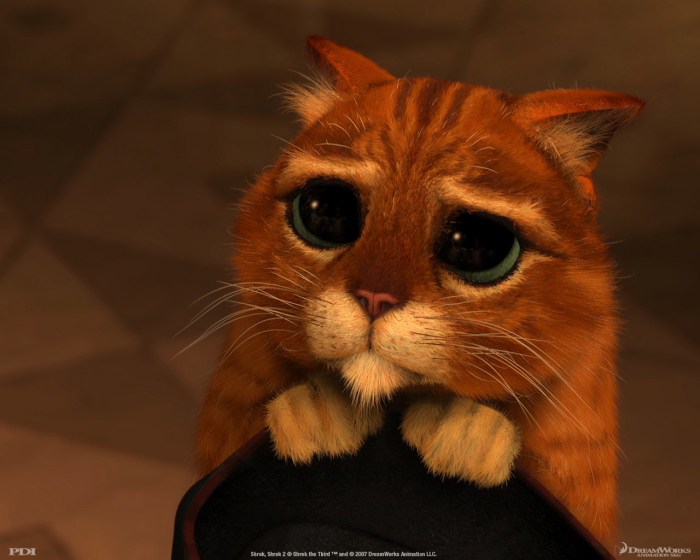 Will look cute for food