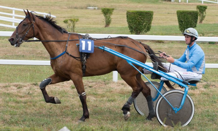 Don't you bloody dare...